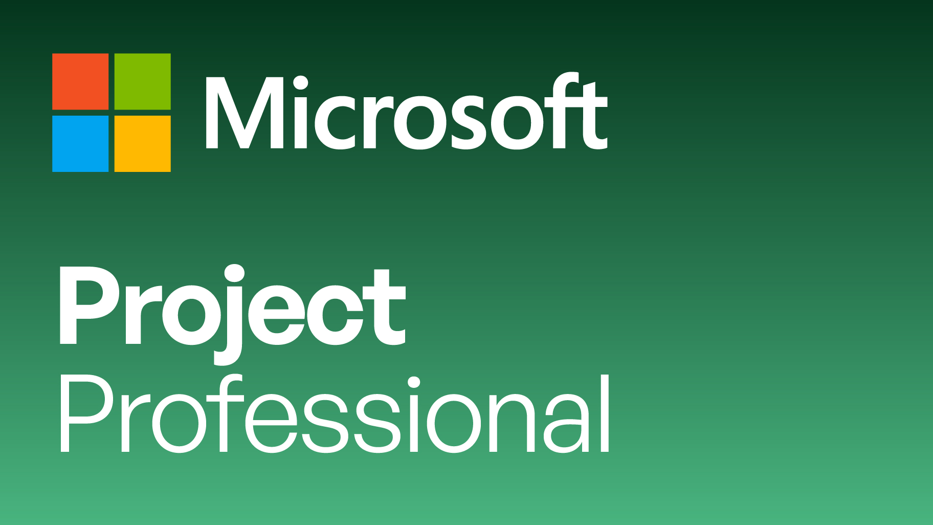 Project Professional 2024