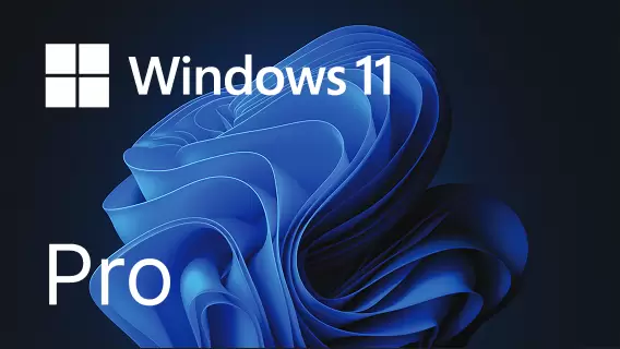 Windows 11 Pro